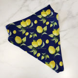 Women's High Waist Swimsuit Bottom