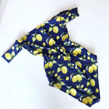 Women's One Piece Swimsuit Lemon Print Sleeve Bathing Suit